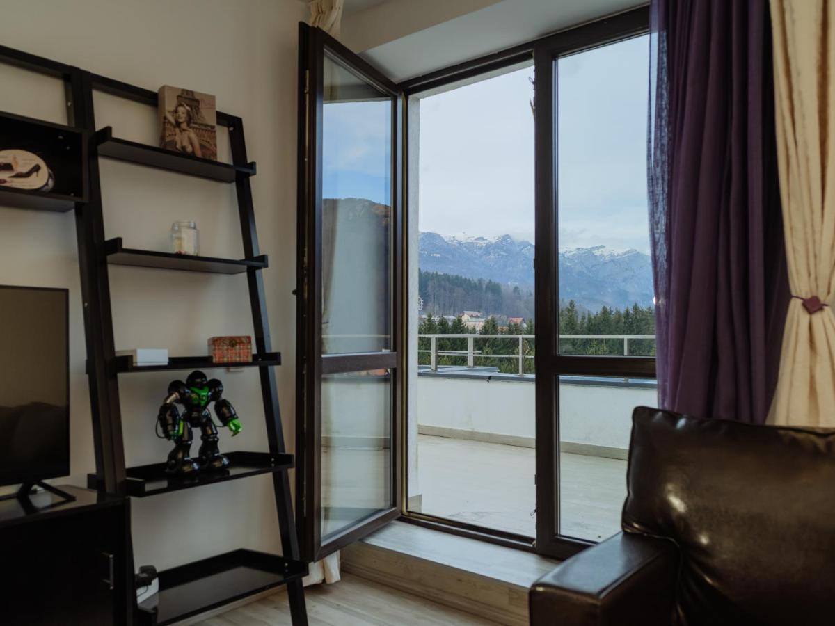 Appartamento Panoramic Loft Colina Marei Sinaia Esterno foto
