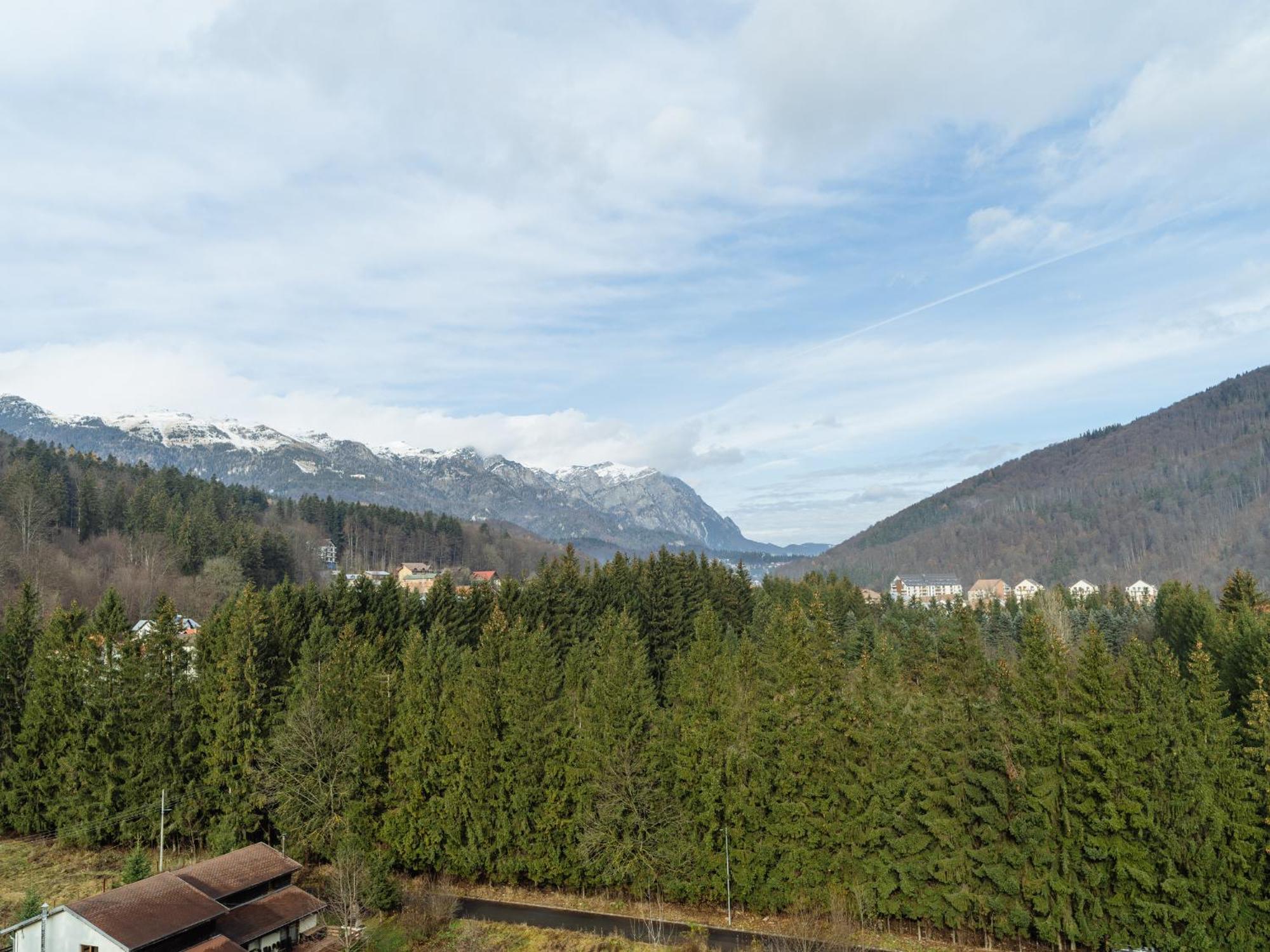 Appartamento Panoramic Loft Colina Marei Sinaia Esterno foto